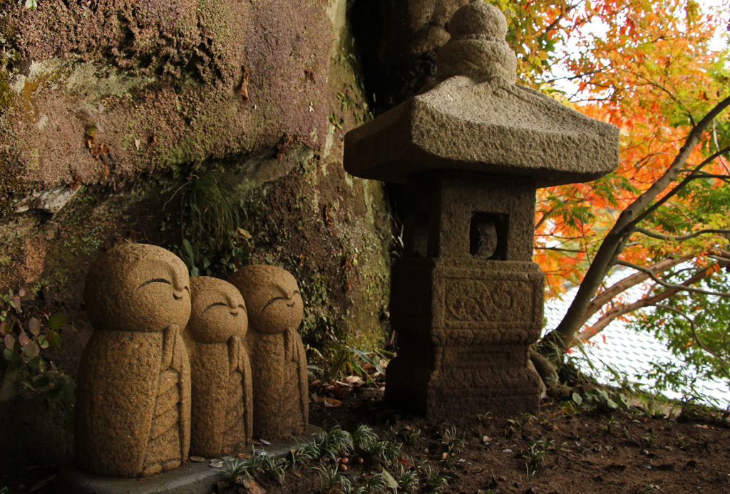 綺麗な紅葉だね