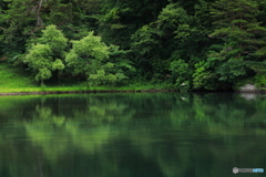 新緑の湖畔 (790T)