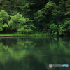 新緑の湖畔 (790T)