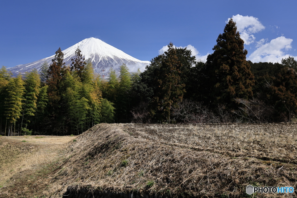 富士と棚田
