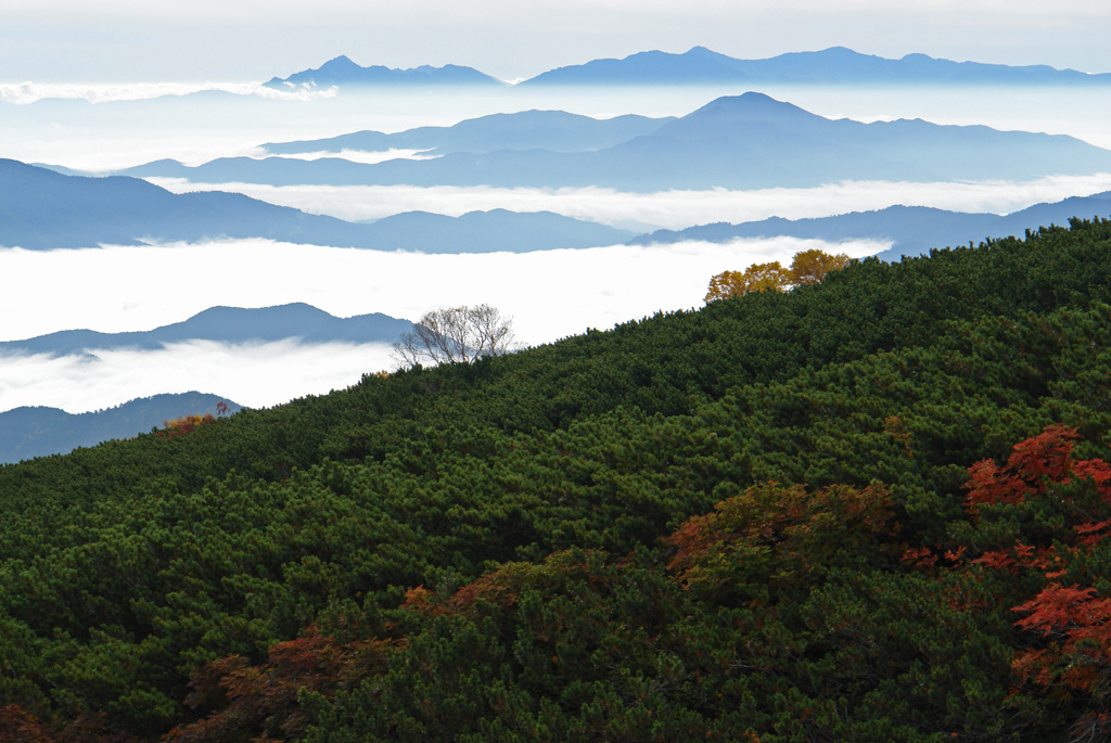 雲海遥か (Ｓ)