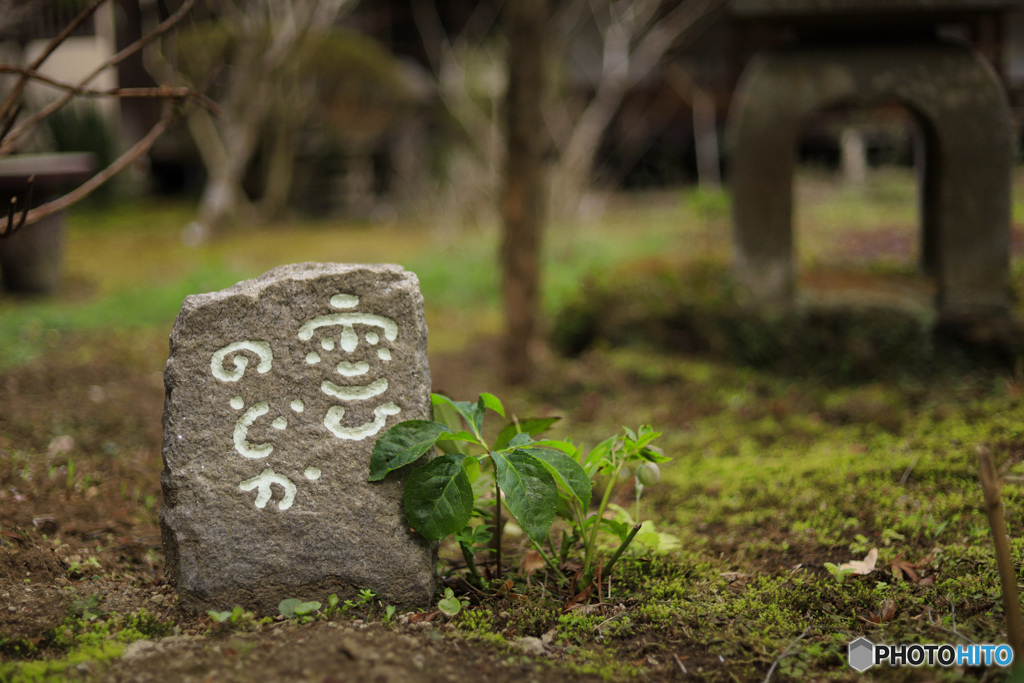 雲のどか
