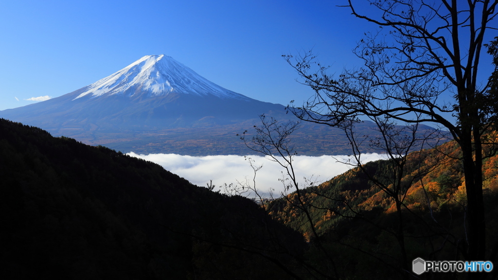 朝日に映える富士
