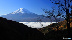 朝日に映える富士