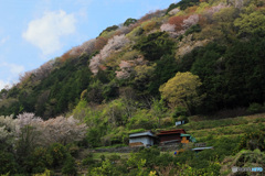 里山の春