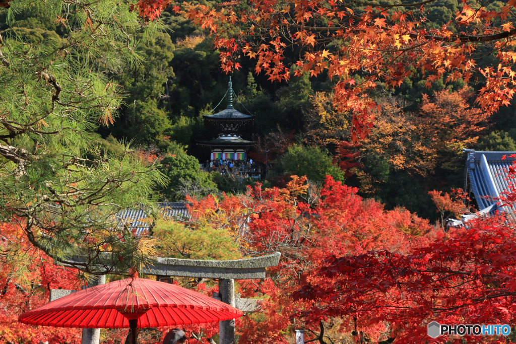 紅葉の多宝塔 -3