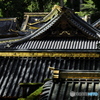 金色のお化粧 -3 (734T)