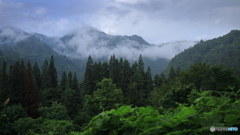 山霧 (788T)