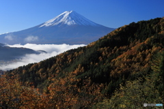 朝日差す頃