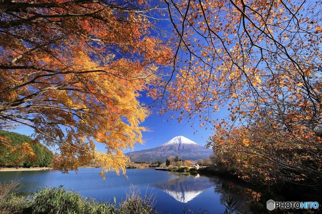 田貫湖の秋