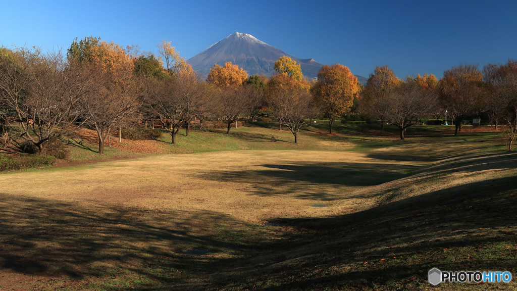 秋の公園 -2 (403T)