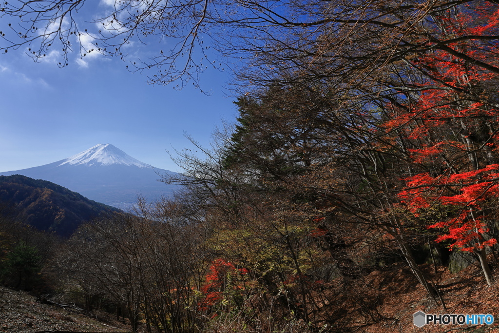 富士遠望