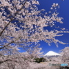 桜咲く里で