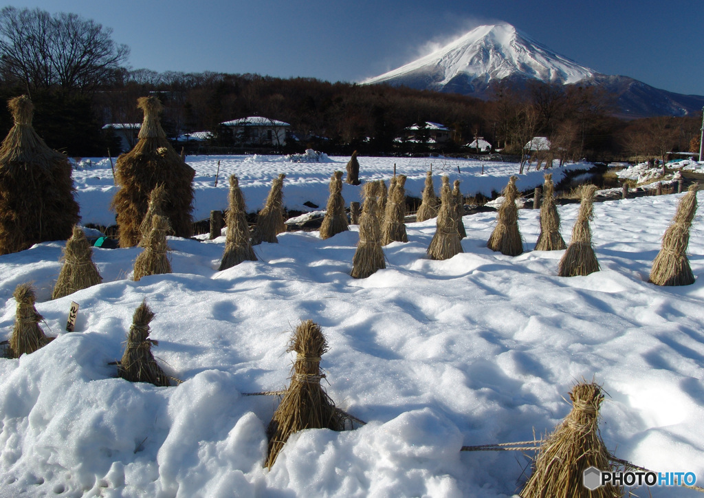 雪解けの頃