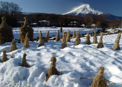 雪解けの頃