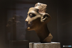 ネフェルティティ王妃の頭部像  (473T)