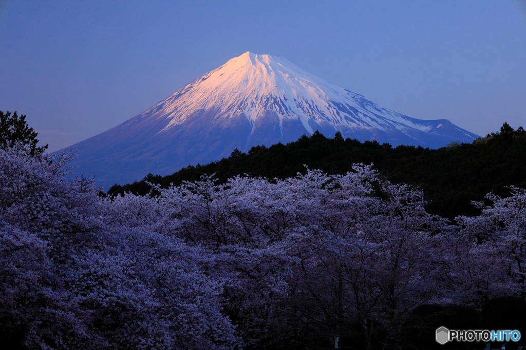 夕富士