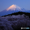 夕富士