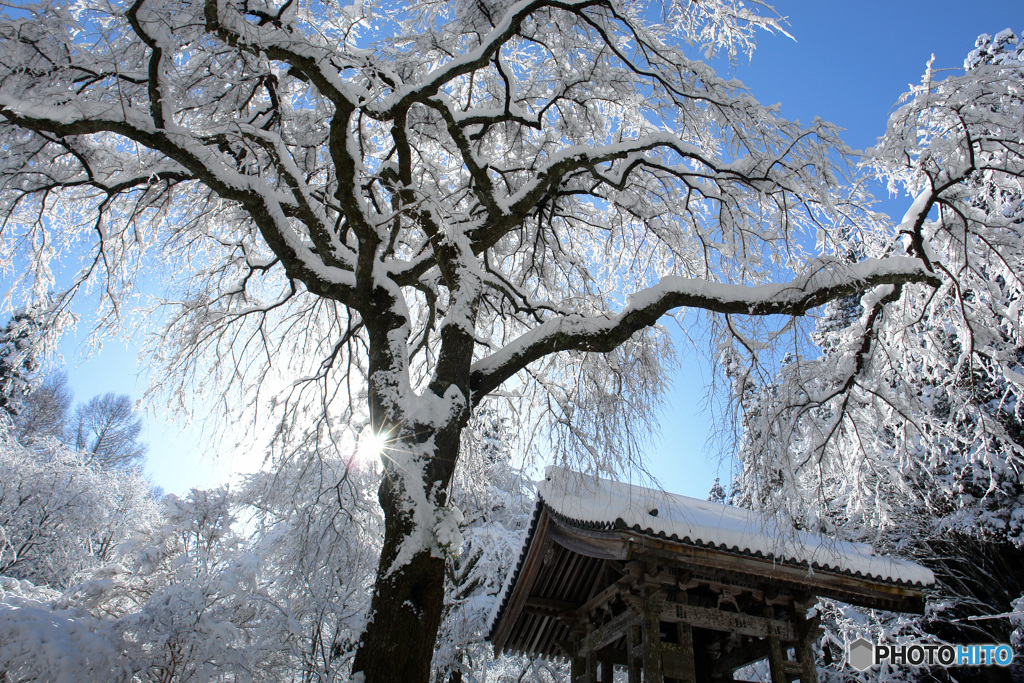 鐘楼雪景色 -3