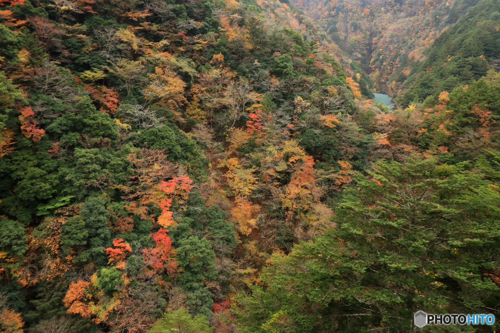 秋の車窓風景 (399T)