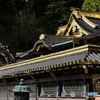 金色のお化粧 -2 (733T)