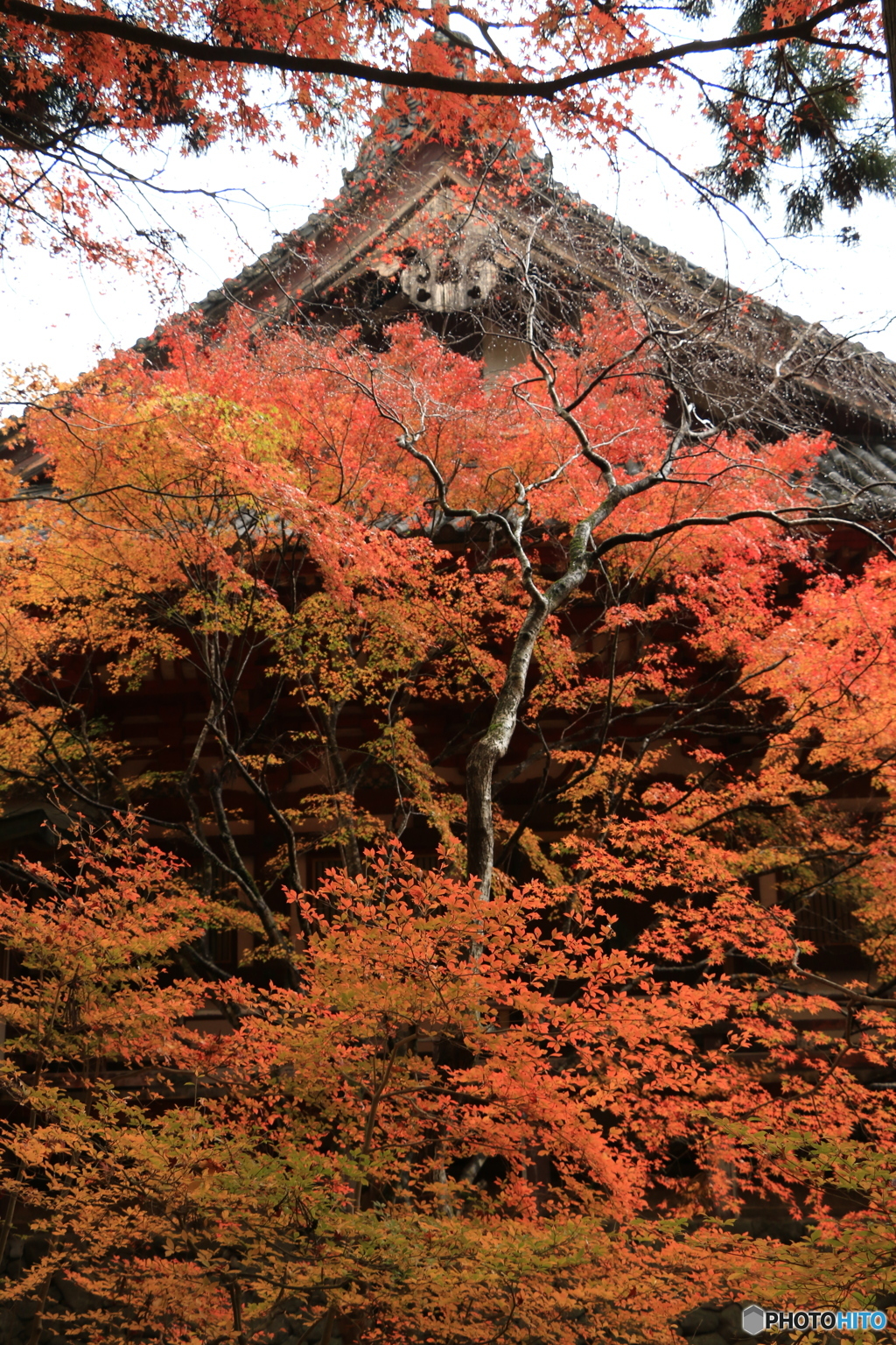 神護寺・雨紅葉-2