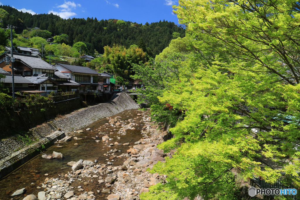 新緑の室生川