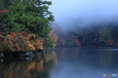 霧の湖畔