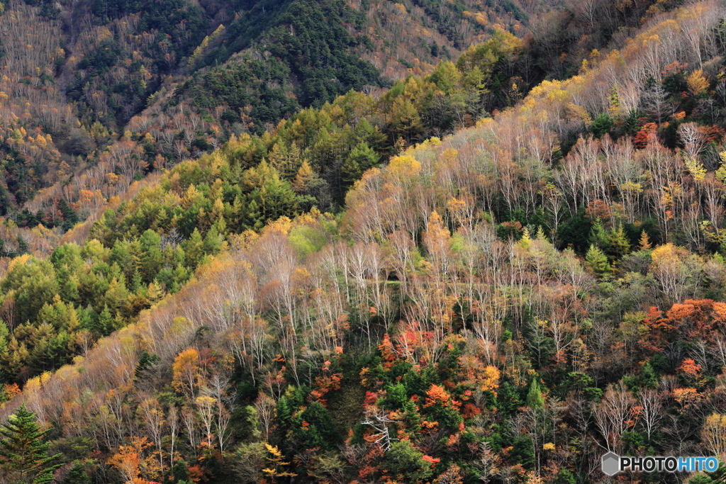 色付く山肌