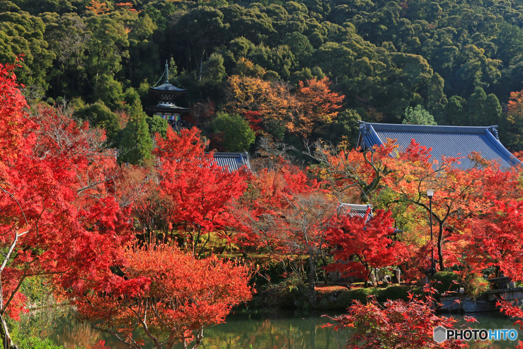 紅葉の多宝塔