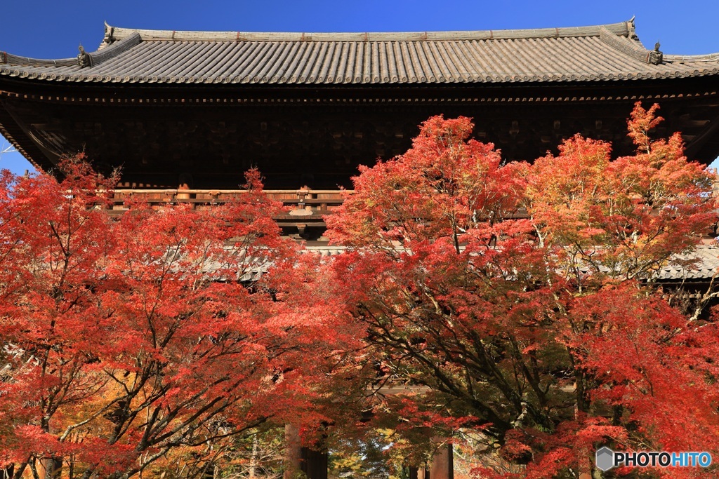 南禅寺・秋