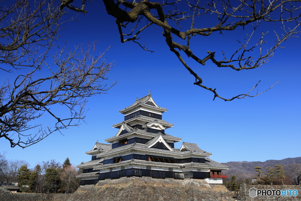 冬の松本城 (675T)