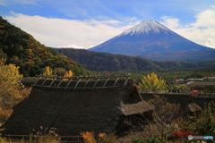 里山の秋