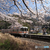 桜咲く駅 (350T)