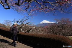 アッシの散歩道