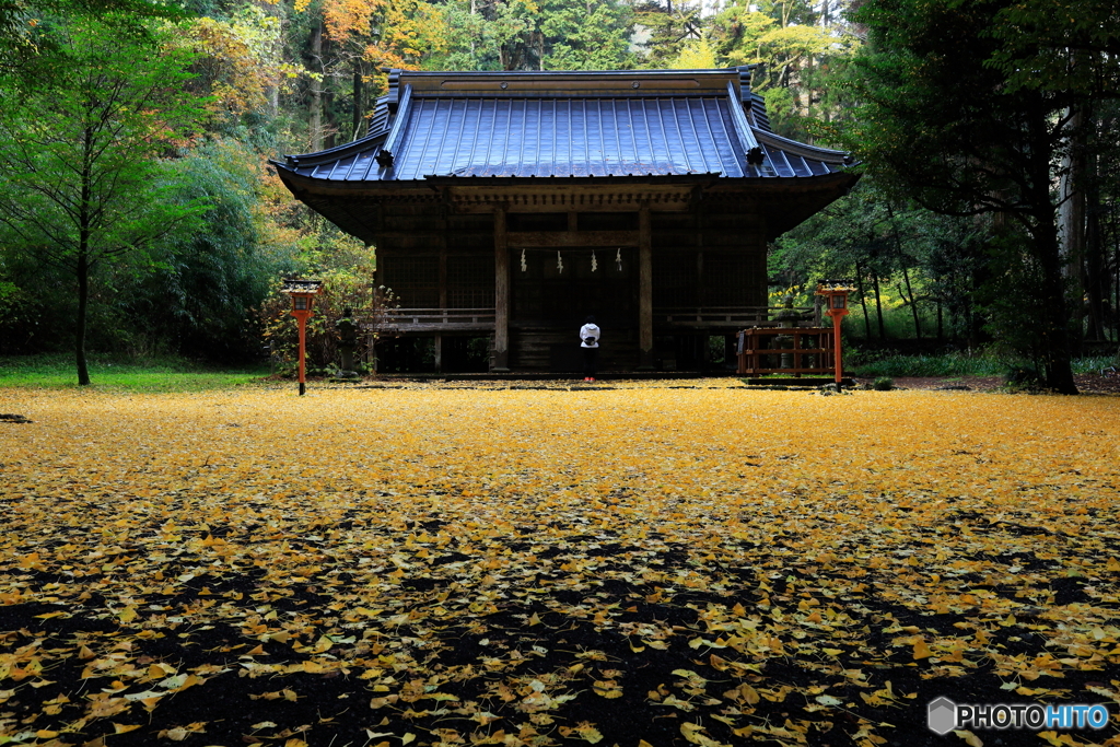 ひとり、祈る
