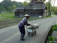 村の農婦