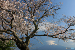 笠雲の富士と