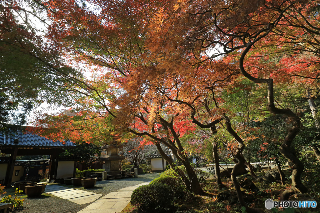 秋の山門