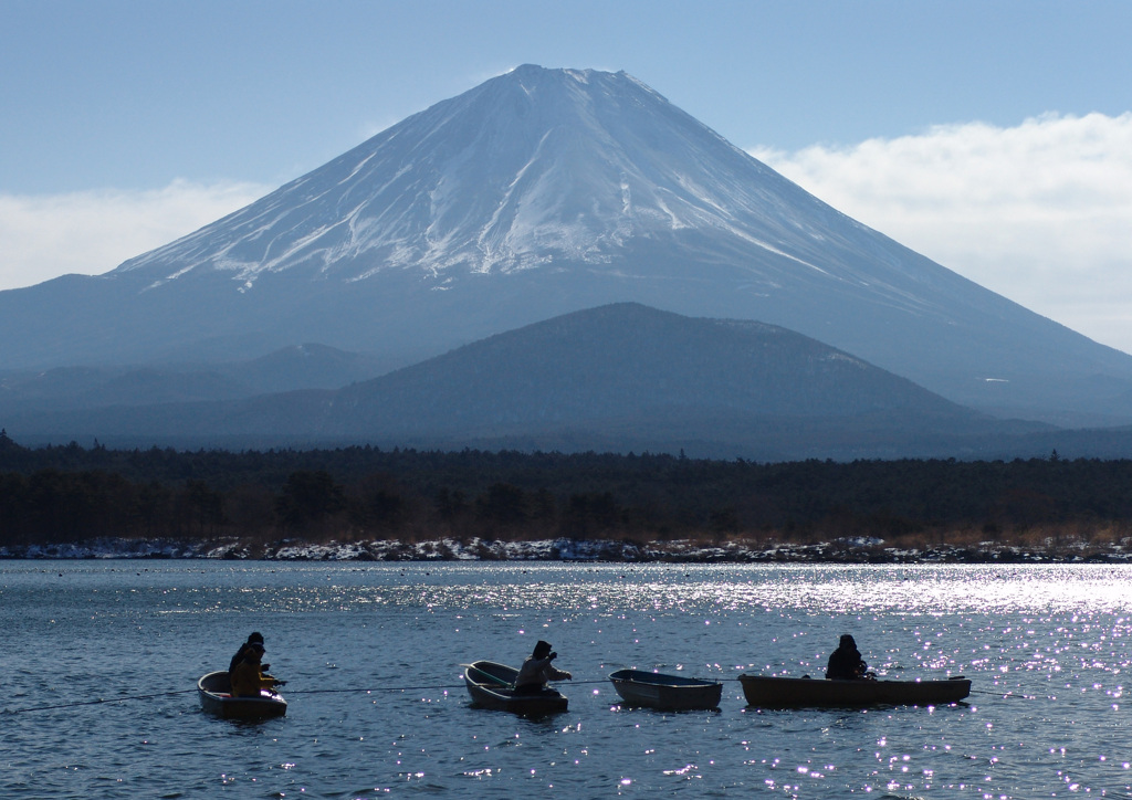 冬の光景