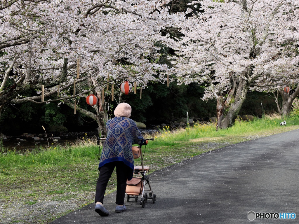 今年もよく咲いたね