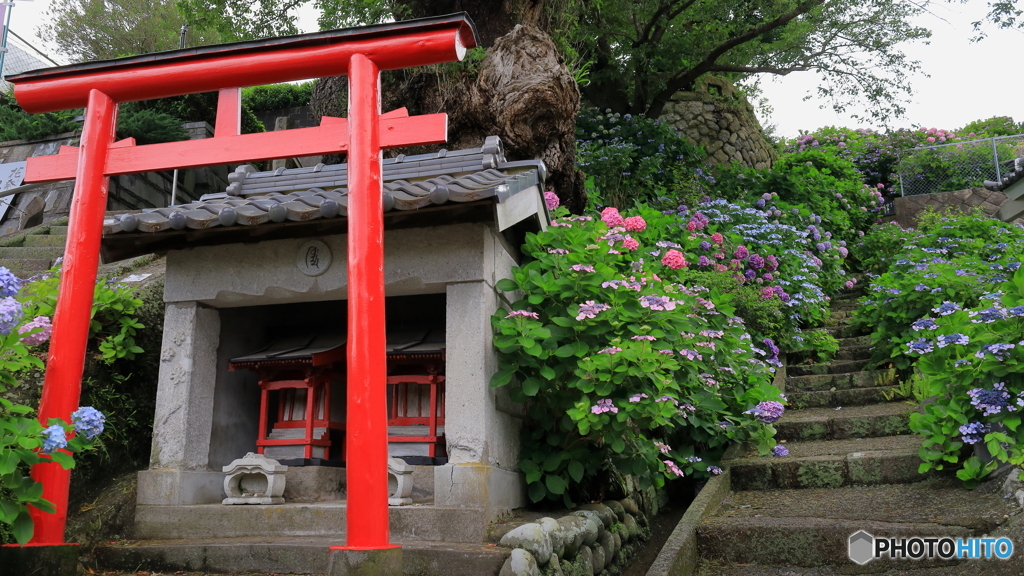 紅い鳥居のある境内