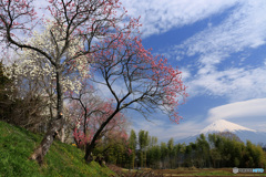 里山の富士