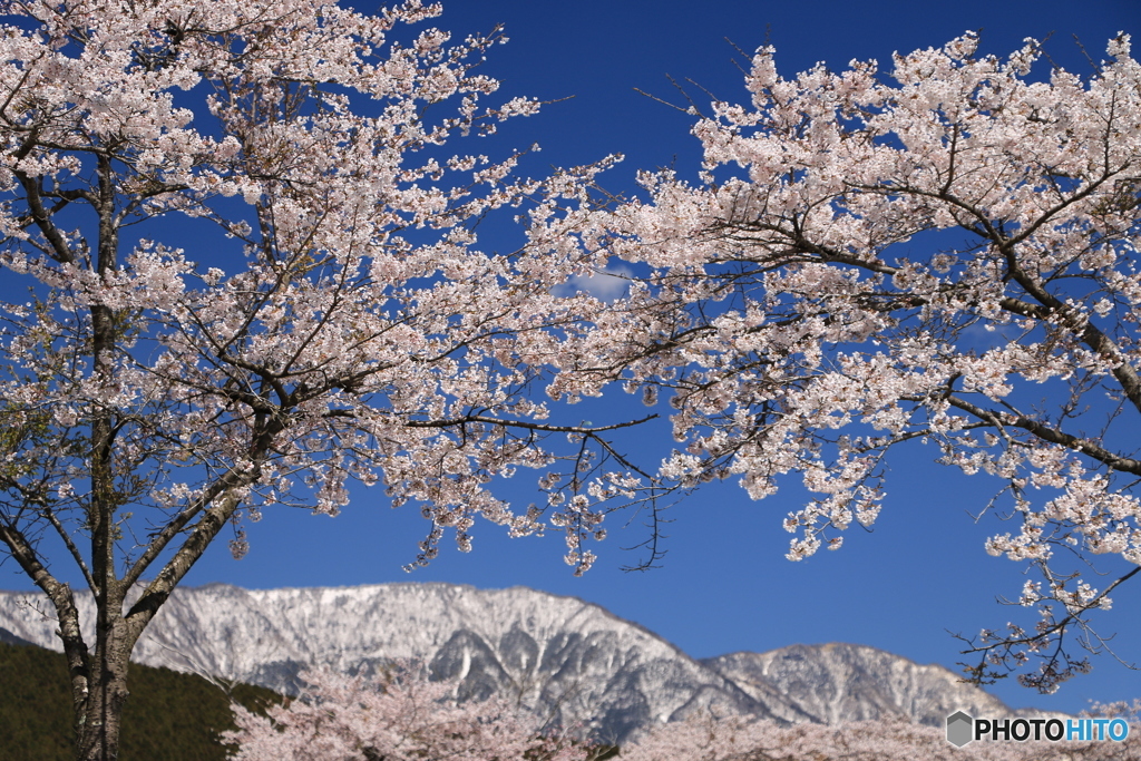 雪山遠望
