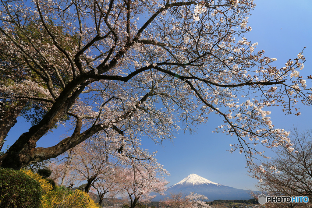 富士遠望