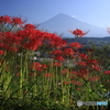 彼岸花咲く里で -2