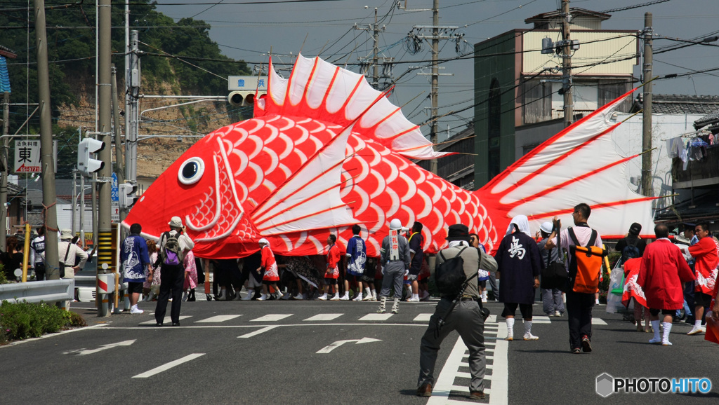 お鯛様のお通りだ！