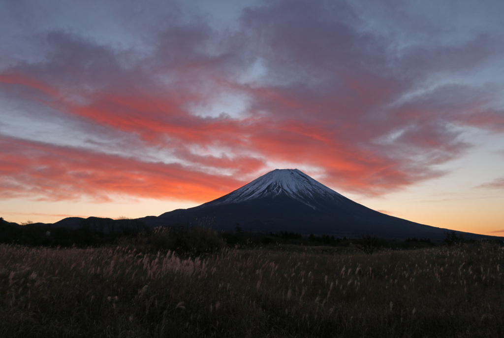 高原の朝