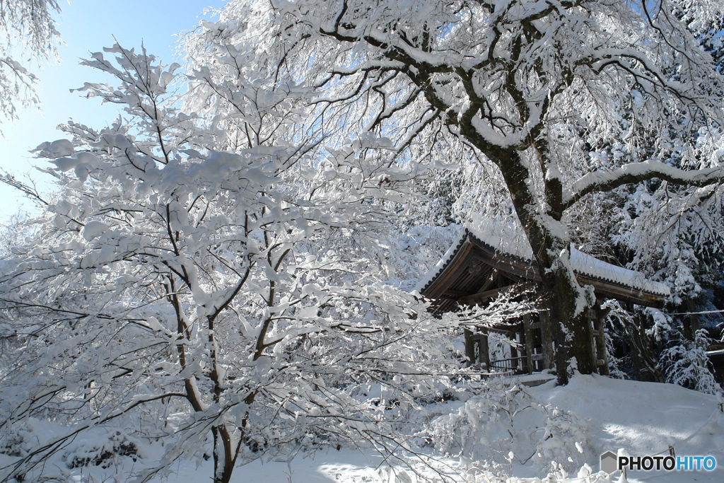 鐘楼雪景色 -2