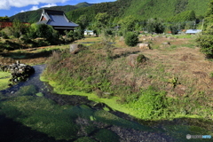 小川のある風景  (640T)